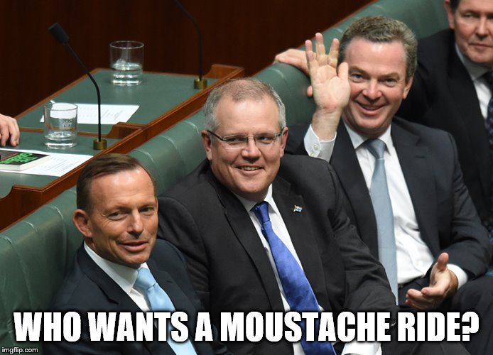 WHO WANTS A MOUSTACHE RIDE? | image tagged in christopher pyne | made w/ Imgflip meme maker