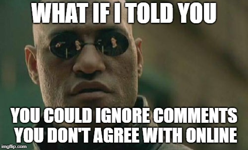 Matrix Morpheus Meme | WHAT IF I TOLD YOU; YOU COULD IGNORE COMMENTS YOU DON'T AGREE WITH ONLINE | image tagged in memes,matrix morpheus | made w/ Imgflip meme maker