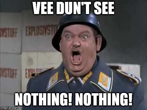 Sgt. Schultz shouting | VEE DUN'T SEE; NOTHING! NOTHING! | image tagged in sgt schultz shouting | made w/ Imgflip meme maker