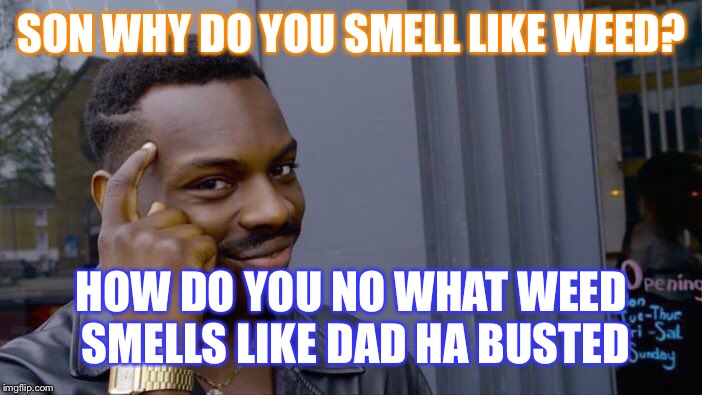 Roll Safe Think About It Meme | SON WHY DO YOU SMELL LIKE WEED? HOW DO YOU NO WHAT WEED SMELLS LIKE DAD HA BUSTED | image tagged in memes,roll safe think about it | made w/ Imgflip meme maker