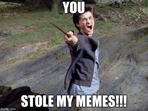 Harry Potter Yelling | YOU; STOLE MY MEMES!!! | image tagged in harry potter yelling | made w/ Imgflip meme maker