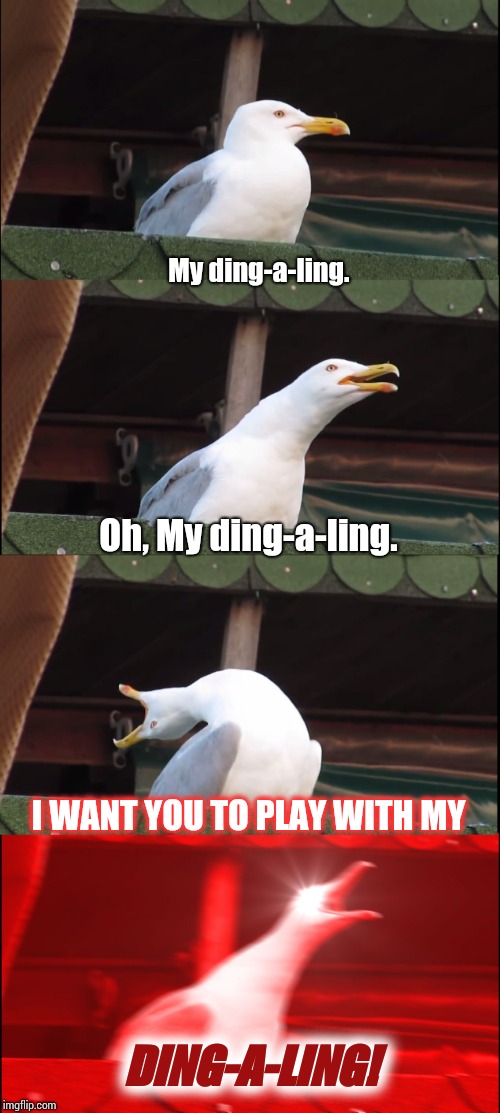 Brain Dead Thursday.  I've Got Nothin! | My ding-a-ling. Oh, My ding-a-ling. I WANT YOU TO PLAY WITH MY; DING-A-LING! | image tagged in memes,inhaling seagull | made w/ Imgflip meme maker