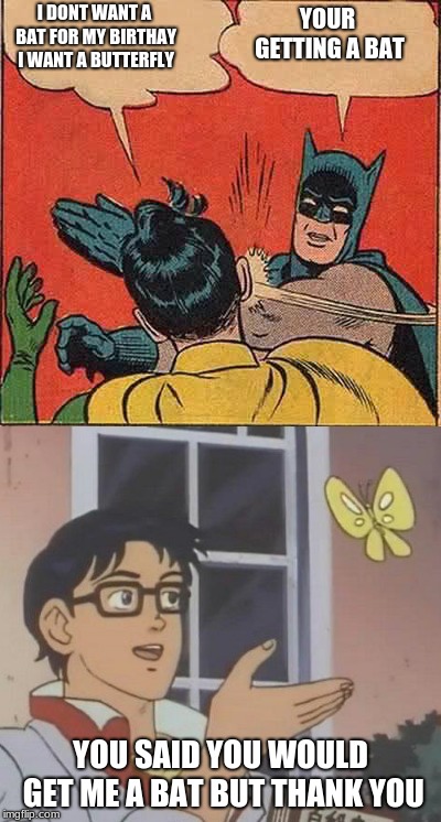 batterfly | YOUR GETTING A BAT; I DONT WANT A BAT FOR MY BIRTHAY I WANT A BUTTERFLY; YOU SAID YOU WOULD GET ME A BAT BUT THANK YOU | image tagged in memes | made w/ Imgflip meme maker