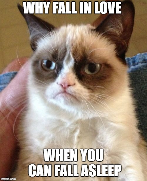 Grumpy Cat | WHY FALL IN LOVE; WHEN YOU CAN FALL ASLEEP | image tagged in memes,grumpy cat | made w/ Imgflip meme maker