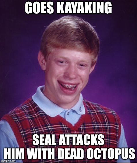 Bad Luck Brian Meme | GOES KAYAKING; SEAL ATTACKS HIM WITH DEAD OCTOPUS | image tagged in memes,bad luck brian | made w/ Imgflip meme maker