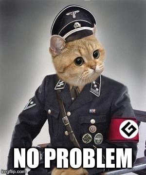 Grammar Cat  | NO PROBLEM | image tagged in grammar cat | made w/ Imgflip meme maker