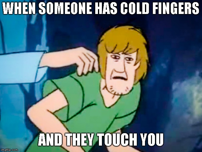 Shaggy meme | WHEN SOMEONE HAS COLD FINGERS; AND THEY TOUCH YOU | image tagged in shaggy meme | made w/ Imgflip meme maker