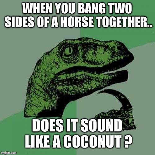 Philosoraptor | WHEN YOU BANG TWO SIDES OF A HORSE TOGETHER.. DOES IT SOUND LIKE A COCONUT ? | image tagged in memes,philosoraptor | made w/ Imgflip meme maker