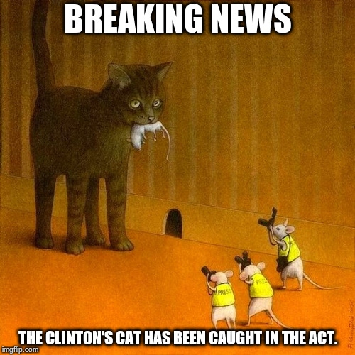 The Clinton's Cat | BREAKING NEWS; THE CLINTON'S CAT HAS BEEN CAUGHT IN THE ACT. | image tagged in the clintons,cat,memes | made w/ Imgflip meme maker