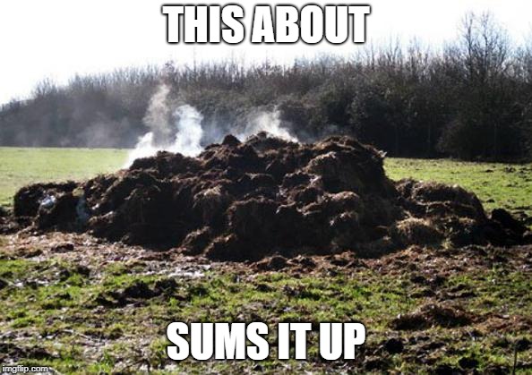 Steaming pile of shit | THIS ABOUT; SUMS IT UP | image tagged in steaming pile of shit | made w/ Imgflip meme maker