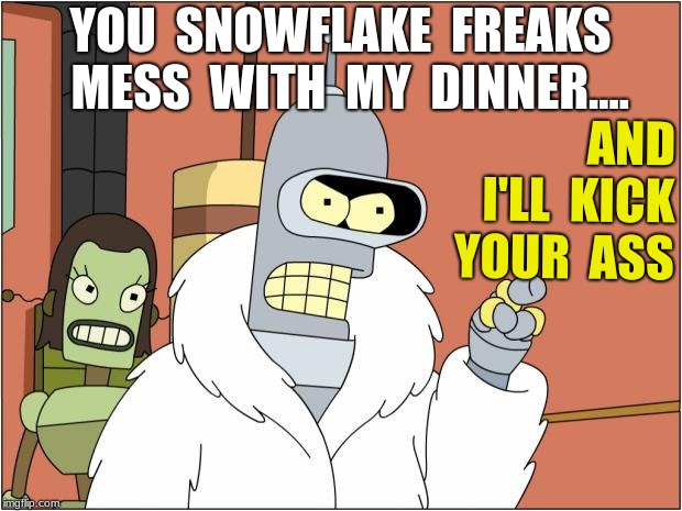 Bender Meme | AND  I'LL  KICK  YOUR  ASS; YOU  SNOWFLAKE  FREAKS  MESS  WITH  MY  DINNER.... | image tagged in memes,bender,snowflakes,dinner | made w/ Imgflip meme maker