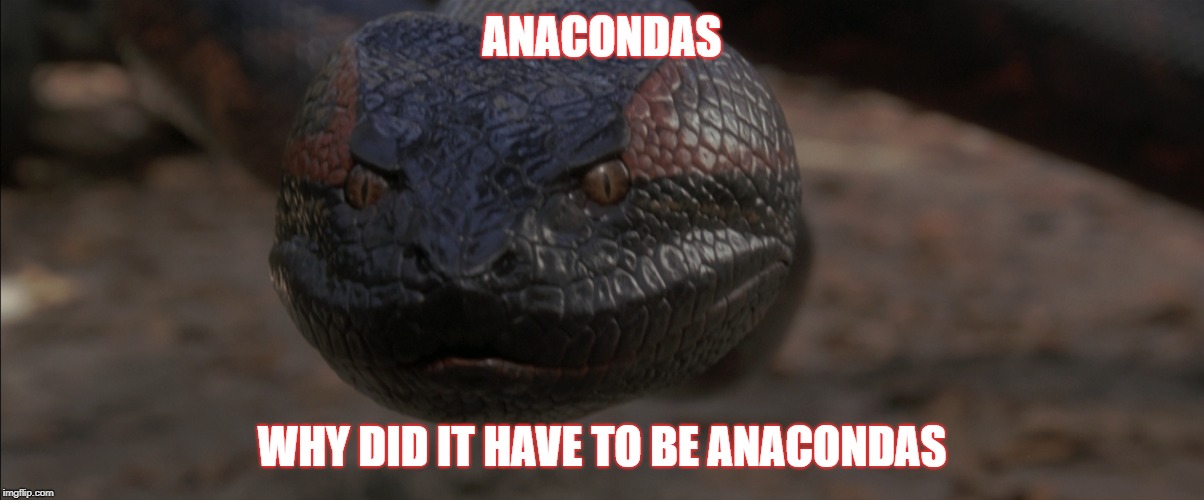 ancondas | ANACONDAS; WHY DID IT HAVE TO BE ANACONDAS | image tagged in anaconda,indiana jones | made w/ Imgflip meme maker