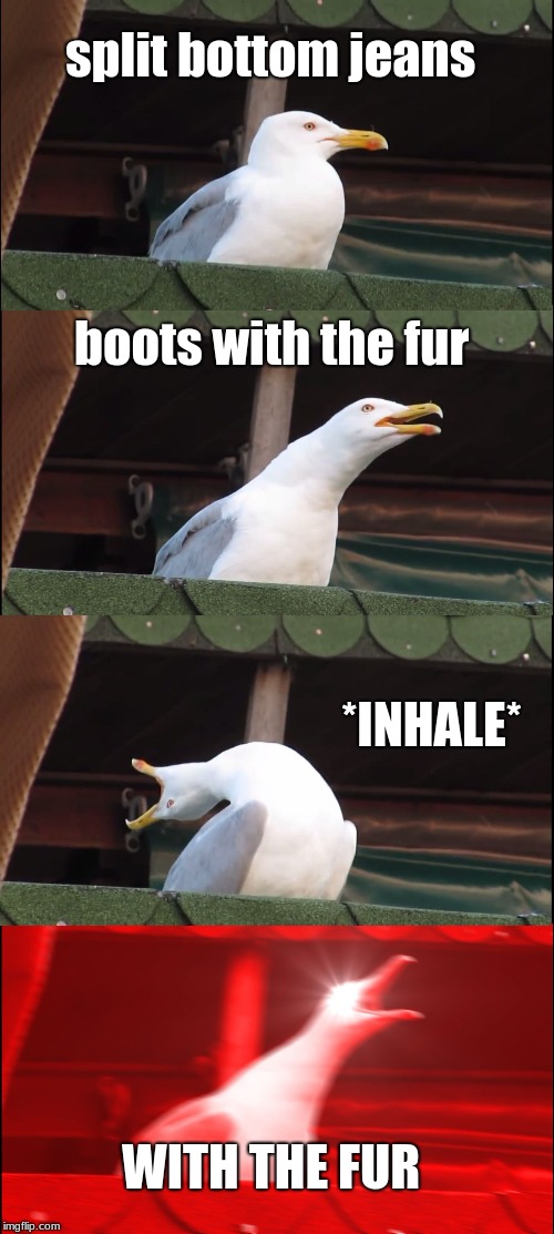 Inhaling Seagull Meme | split bottom jeans; boots with the fur; *INHALE*; WITH THE FUR | image tagged in memes,inhaling seagull | made w/ Imgflip meme maker