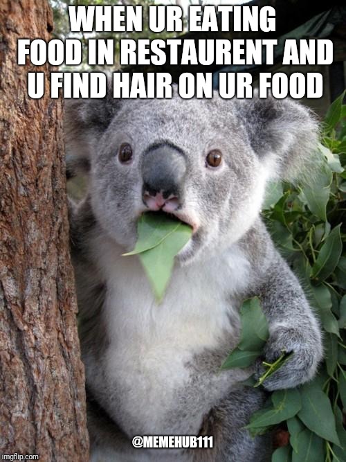 Surprised Koala | WHEN UR EATING FOOD IN RESTAURENT AND U FIND HAIR ON UR FOOD; @MEMEHUB111 | image tagged in memes,surprised koala | made w/ Imgflip meme maker