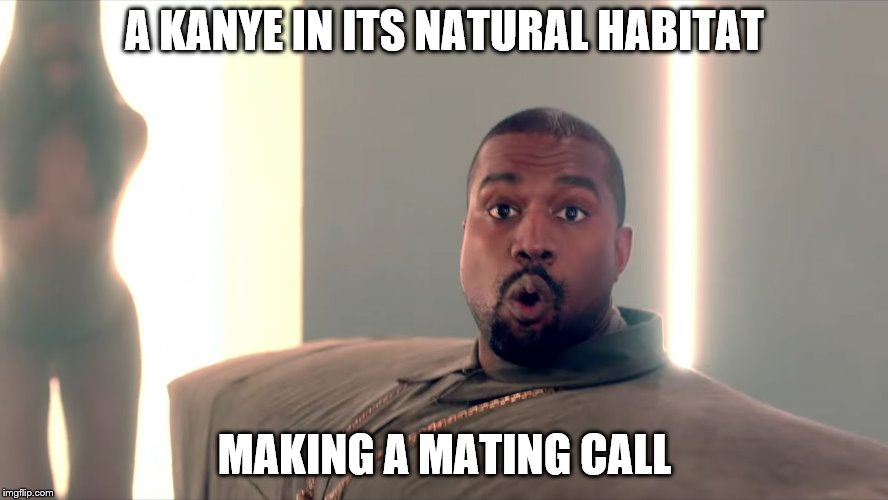 Kanye Wooooo | A KANYE IN ITS NATURAL HABITAT; MAKING A MATING CALL | image tagged in kanye wooooo | made w/ Imgflip meme maker