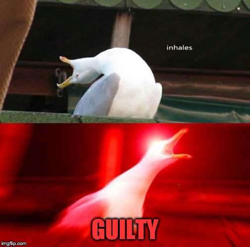 Inhaling Seagull  | GUILTY | image tagged in inhaling seagull | made w/ Imgflip meme maker
