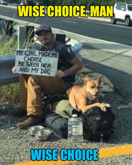 Decisions, decisions | WISE CHOICE, MAN; WISE CHOICE | image tagged in breakup,homeless cardboard,dogs,life,choices,funny memes | made w/ Imgflip meme maker
