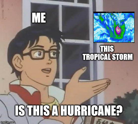 I wonder how it happened, and how could I prepare to this. |  ME; THIS TROPICAL STORM; IS THIS A HURRICANE? | image tagged in memes,is this a pigeon,medicane,greece,turkey,cyclades | made w/ Imgflip meme maker