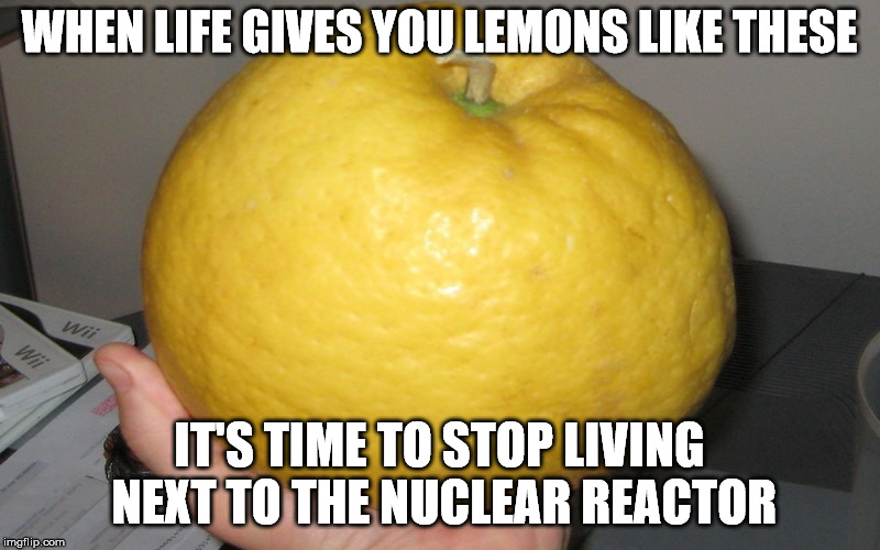 WHEN LIFE GIVES YOU LEMONS LIKE THESE; IT'S TIME TO STOP LIVING NEXT TO THE NUCLEAR REACTOR | image tagged in memes,large lemon | made w/ Imgflip meme maker