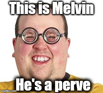 He falls in love with every girl he sees in a meme, EVEN CARTOONS! | This is Melvin; He's a perve | image tagged in melvin,nerd,perve,dunce | made w/ Imgflip meme maker