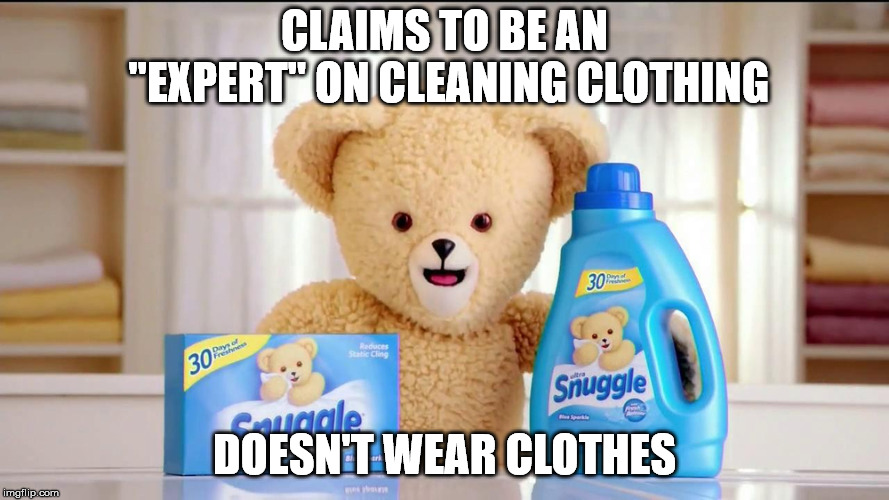 CLAIMS TO BE AN "EXPERT" ON CLEANING CLOTHING; DOESN'T WEAR CLOTHES | image tagged in memes,snuggle bear | made w/ Imgflip meme maker