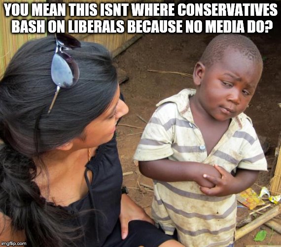 So you mean to tell me | YOU MEAN THIS ISNT WHERE CONSERVATIVES BASH ON LIBERALS BECAUSE NO MEDIA DO? | image tagged in so you mean to tell me | made w/ Imgflip meme maker