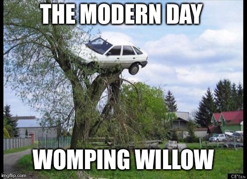 Secure Parking | THE MODERN DAY; WOMPING WILLOW | image tagged in memes,secure parking | made w/ Imgflip meme maker