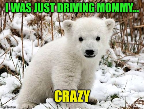 I WAS JUST DRIVING MOMMY... CRAZY | made w/ Imgflip meme maker