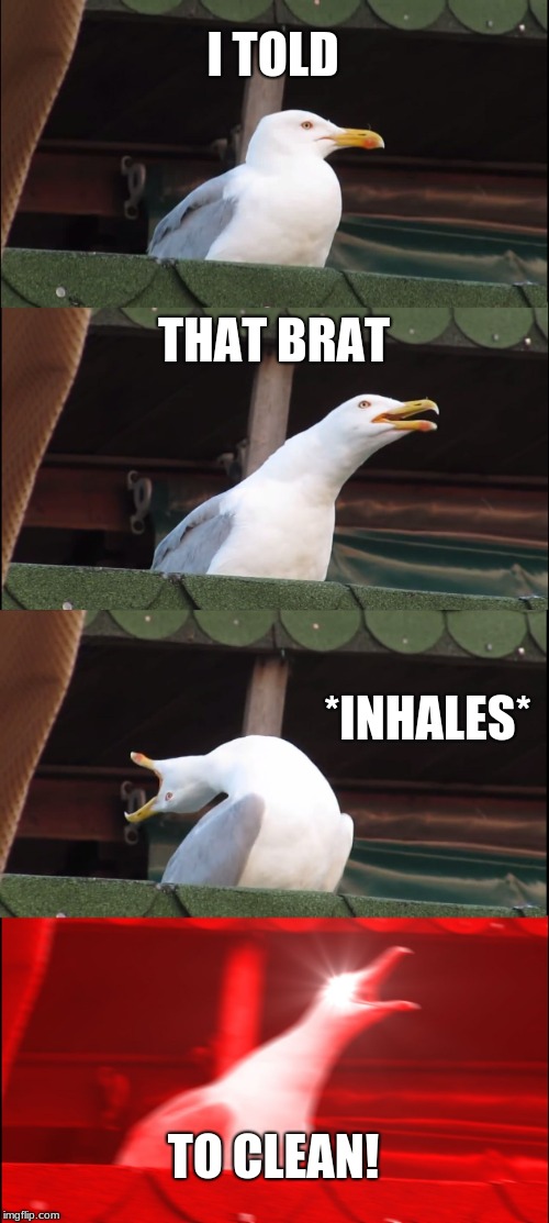 Inhaling Seagull | I TOLD; THAT BRAT; *INHALES*; TO CLEAN! | image tagged in memes,inhaling seagull | made w/ Imgflip meme maker