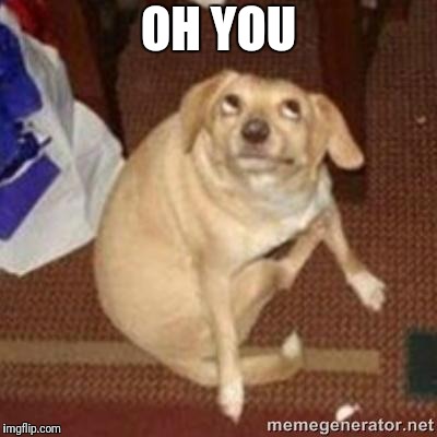 oh you dog | OH YOU | image tagged in oh you dog | made w/ Imgflip meme maker