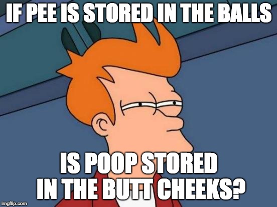 Burning Question | IF PEE IS STORED IN THE BALLS; IS POOP STORED IN THE BUTT CHEEKS? | image tagged in memes,futurama fry | made w/ Imgflip meme maker