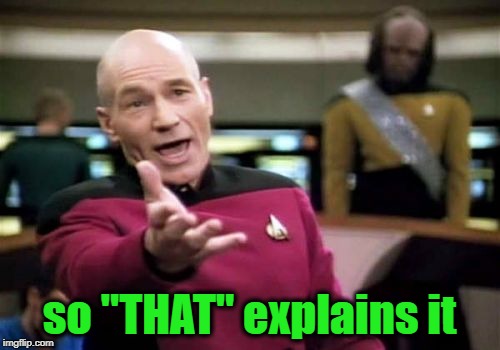 Picard Wtf Meme | so "THAT" explains it | image tagged in memes,picard wtf | made w/ Imgflip meme maker