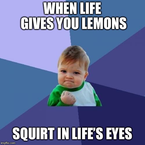 Success Kid | WHEN LIFE GIVES YOU LEMONS; SQUIRT IN LIFE’S EYES | image tagged in memes,success kid | made w/ Imgflip meme maker