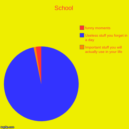 School | Important stuff you will actually use in your life, Useless stuff you forget in a day, funny moments | image tagged in funny,pie charts | made w/ Imgflip chart maker