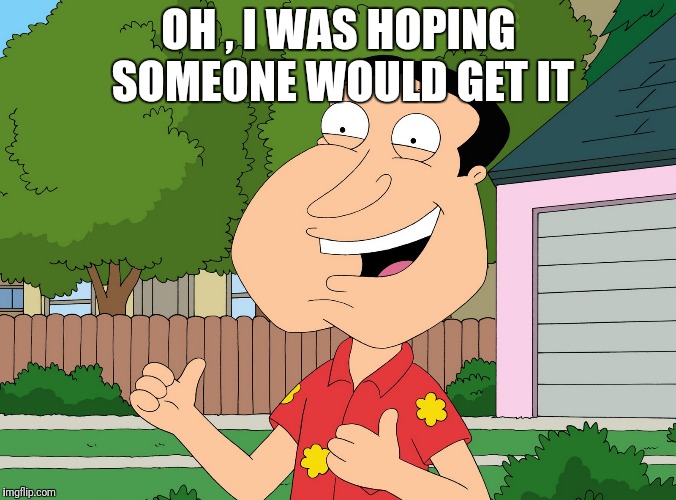 Quagmire Family Guy | OH , I WAS HOPING SOMEONE WOULD GET IT | image tagged in quagmire family guy | made w/ Imgflip meme maker