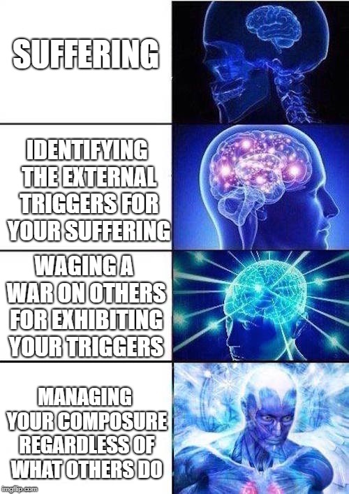 I can do this | SUFFERING; IDENTIFYING THE EXTERNAL TRIGGERS FOR YOUR SUFFERING; WAGING A WAR ON OTHERS FOR EXHIBITING YOUR TRIGGERS; MANAGING YOUR COMPOSURE REGARDLESS OF WHAT OTHERS DO | image tagged in brain mind expanding,memes,responsible,responsibility,social justice,sjws | made w/ Imgflip meme maker