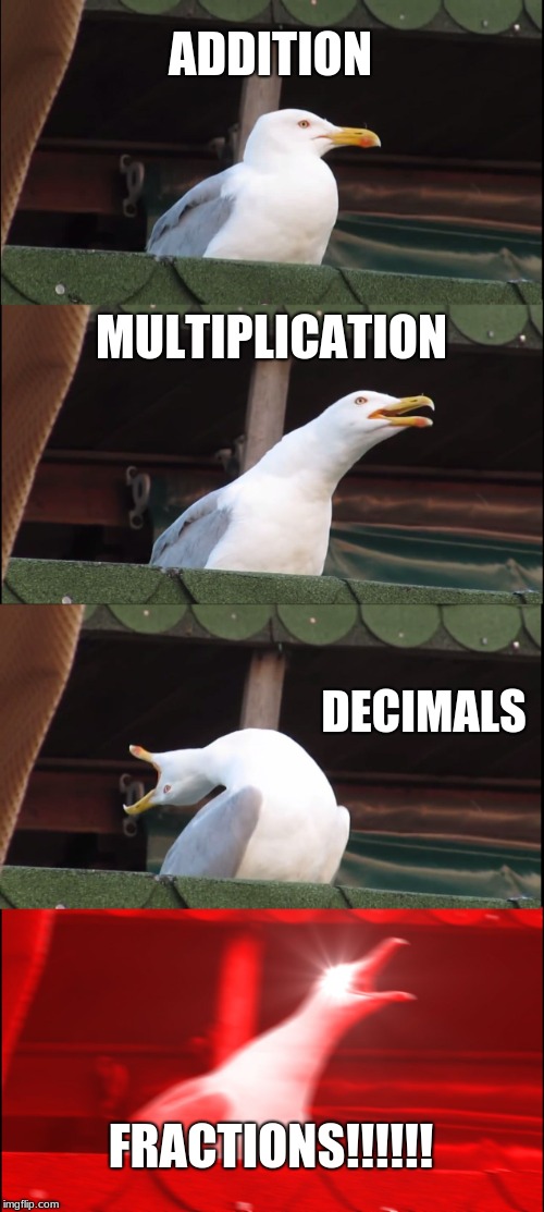 Inhaling Seagull | ADDITION; MULTIPLICATION; DECIMALS; FRACTIONS!!!!!! | image tagged in memes,inhaling seagull | made w/ Imgflip meme maker