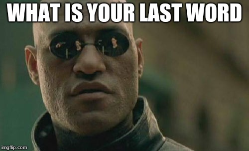Matrix Morpheus | WHAT IS YOUR LAST WORD | image tagged in memes,matrix morpheus | made w/ Imgflip meme maker