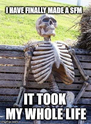 How it feels to make an sfm | I HAVE FINALLY MADE A SFM; IT TOOK MY WHOLE LIFE | image tagged in memes,waiting skeleton | made w/ Imgflip meme maker