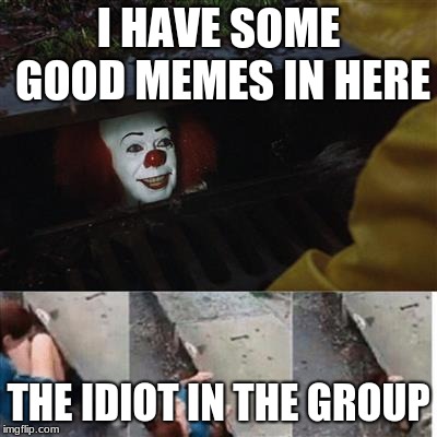 pennywise in sewer | I HAVE SOME GOOD MEMES IN HERE; THE IDIOT IN THE GROUP | image tagged in pennywise in sewer | made w/ Imgflip meme maker