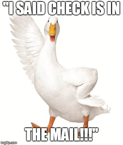 aflac duck | "I SAID CHECK IS IN; THE MAIL!!!" | image tagged in aflac duck | made w/ Imgflip meme maker