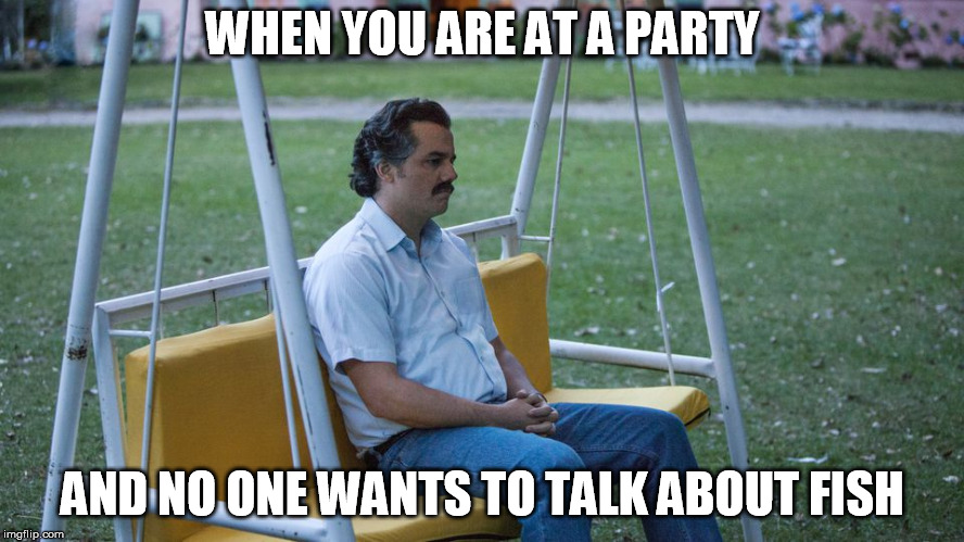 pablo sad | WHEN YOU ARE AT A PARTY; AND NO ONE WANTS TO TALK ABOUT FISH | image tagged in pablo sad | made w/ Imgflip meme maker