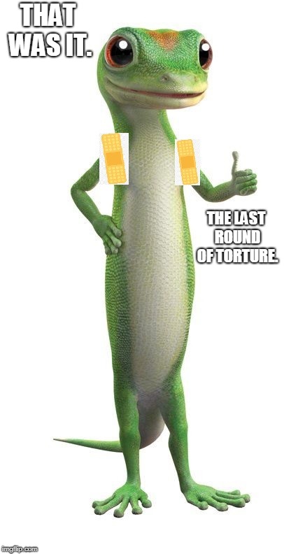 geico Memes & GIFs - Imgflip