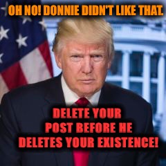 OH NO! DONNIE DIDN'T LIKE THAT. DELETE YOUR POST BEFORE HE DELETES YOUR EXISTENCE! | image tagged in existence,donald trump,delete yourself | made w/ Imgflip meme maker