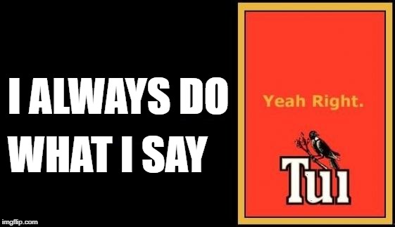 Tui | I ALWAYS DO; WHAT I SAY | image tagged in tui | made w/ Imgflip meme maker