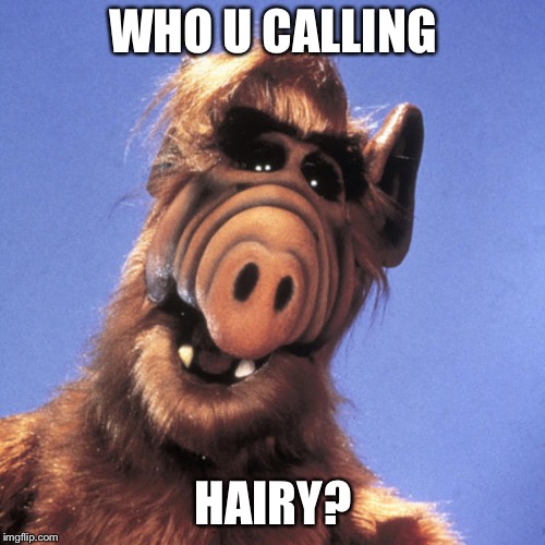 Alf  | WHO U CALLING HAIRY? | image tagged in alf | made w/ Imgflip meme maker