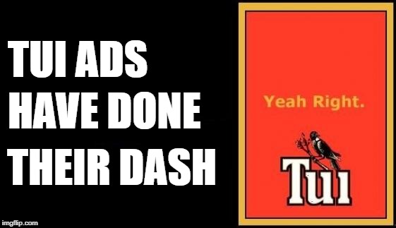 Tui | TUI ADS; HAVE DONE; THEIR DASH | image tagged in tui | made w/ Imgflip meme maker