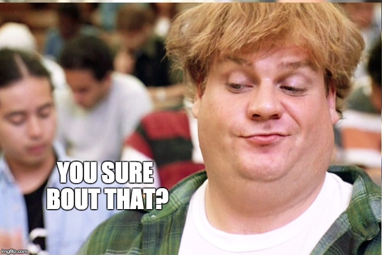 My mom hates Tommy Boy. I can see why | YOU SURE BOUT THAT? | image tagged in funny memes | made w/ Imgflip meme maker