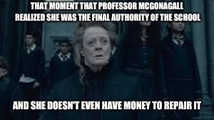 Mcgonagall, bro | THAT MOMENT THAT PROFESSOR MCGONAGALL REALIZED SHE WAS THE FINAL AUTHORITY OF THE SCHOOL; AND SHE DOESN'T EVEN HAVE MONEY TO REPAIR IT | image tagged in harry potter,hogwarts | made w/ Imgflip meme maker