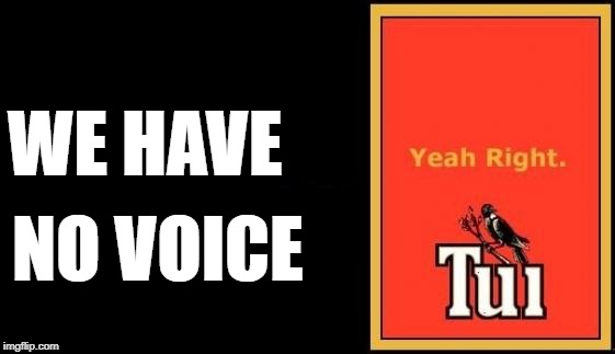 Tui | WE HAVE; NO VOICE | image tagged in tui | made w/ Imgflip meme maker